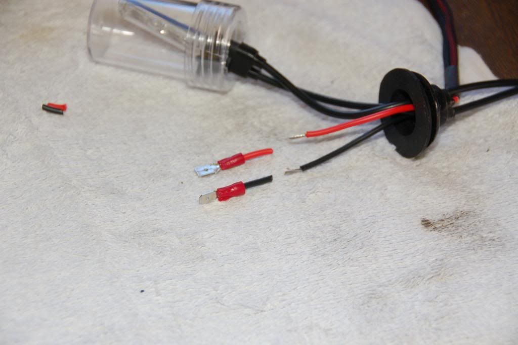 External inline image provided by member with no explanatory text