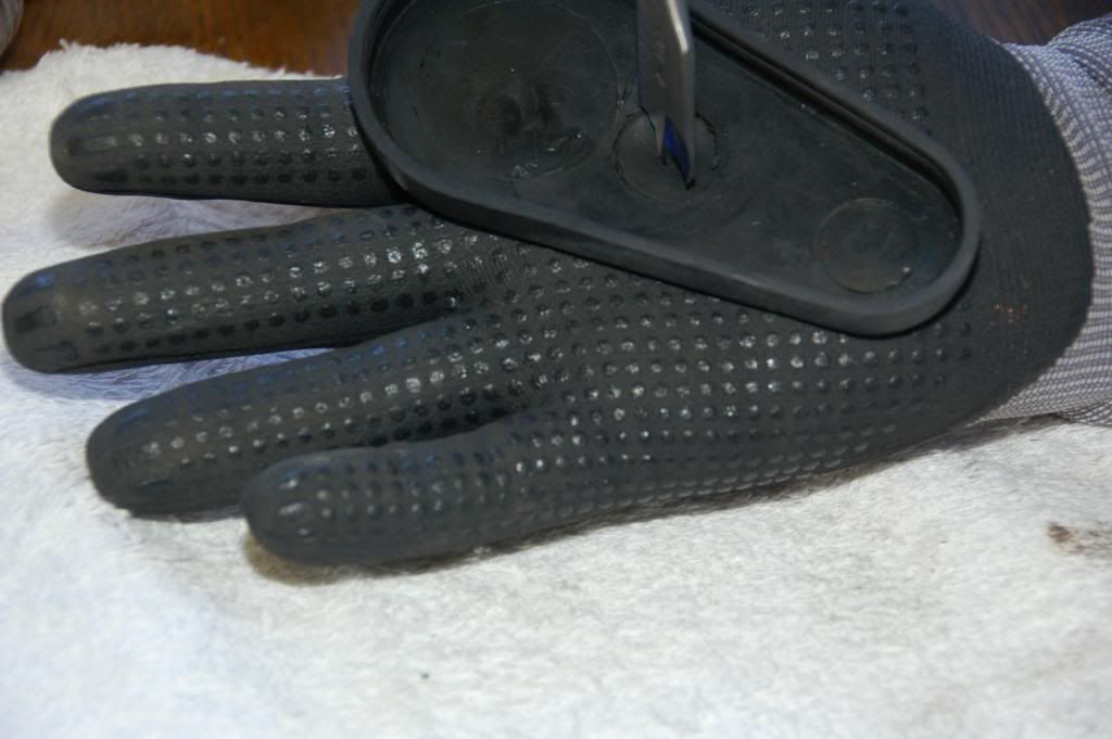 External inline image provided by member with no explanatory text