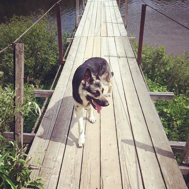 Июнь 2012. Instagram photos Photobucket