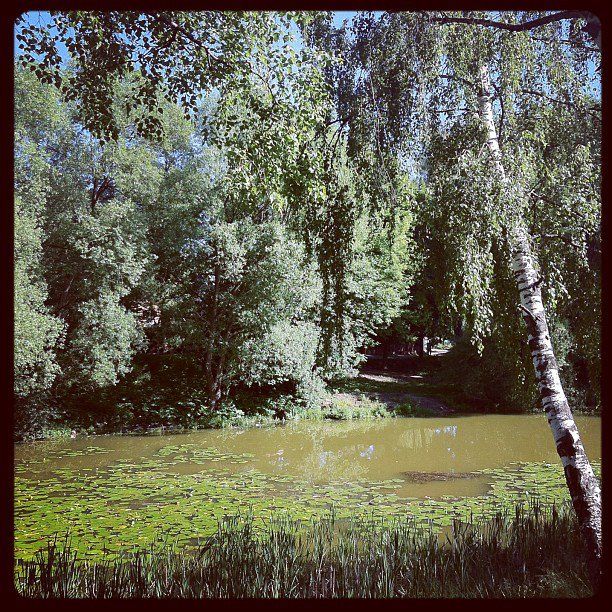 Июнь 2012. Instagram photos Photobucket
