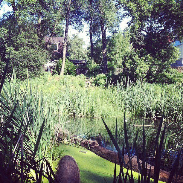 Июнь 2012. Instagram photos Photobucket