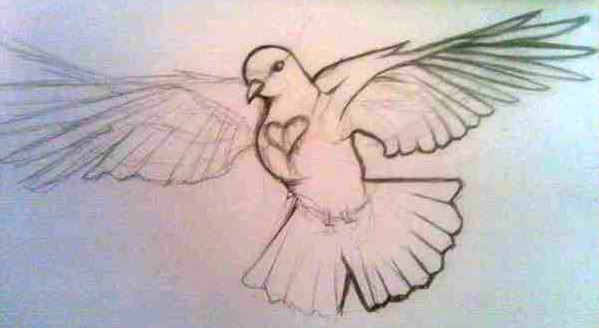 Decided to take on the bleeding heart dove, turning it into some kind of an 