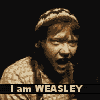 Ron Weasley Gif