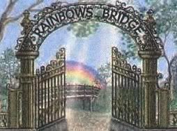 Pet Heaven Pictures, Images and Photos