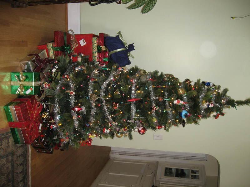 Our tree