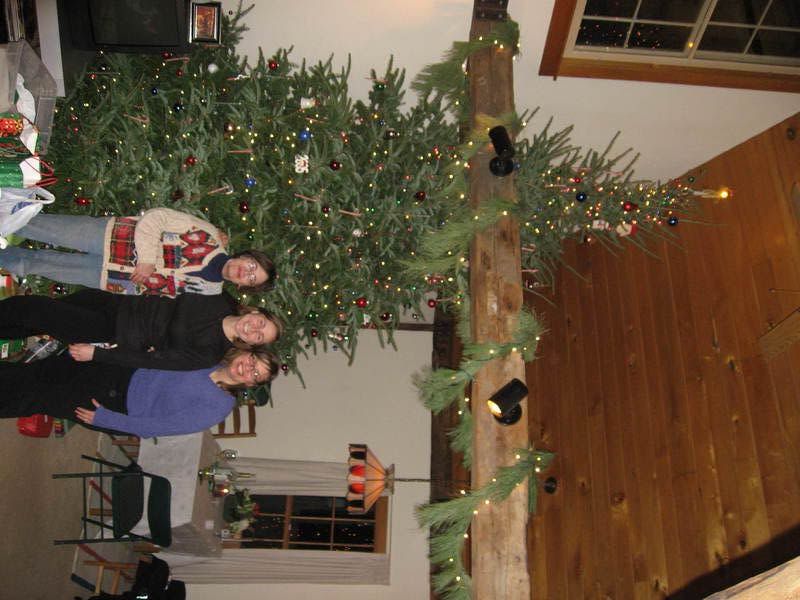 Stephen's Christmas Tree