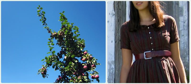 fashion,apples,orchard,fashion blog