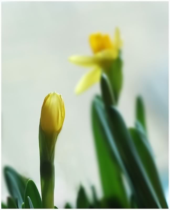 Fotografie