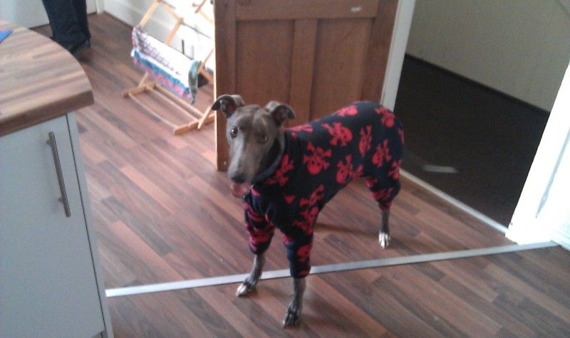 IMAG0047.jpg