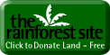 Please click the link to help save the rainforests.