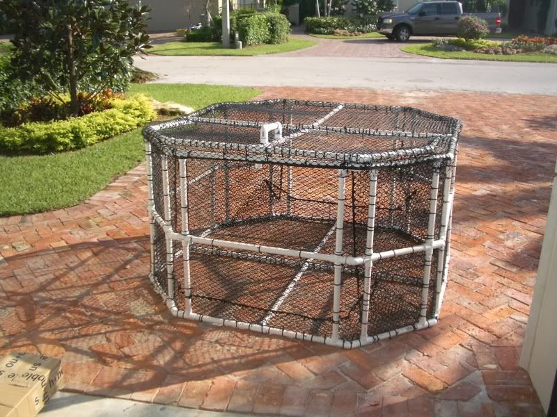 live pen for minnows and spot The Hull Truth Boating