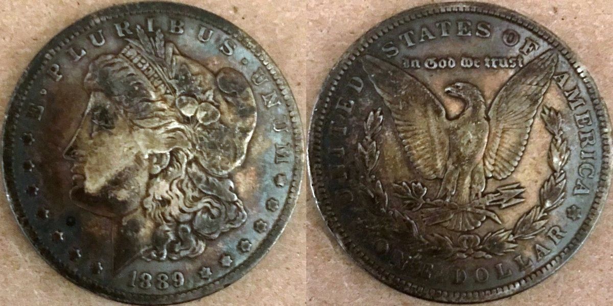 photo Denise Morgan Dollar Combo1.jpg