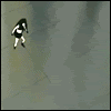0025aw33.gif