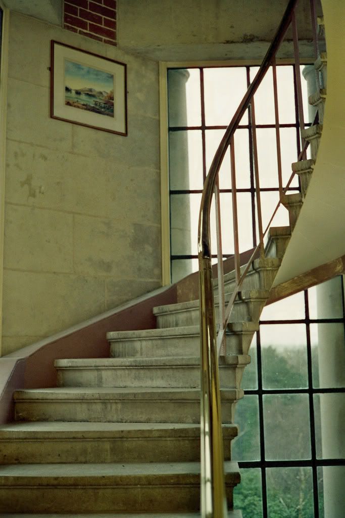 steps.jpg