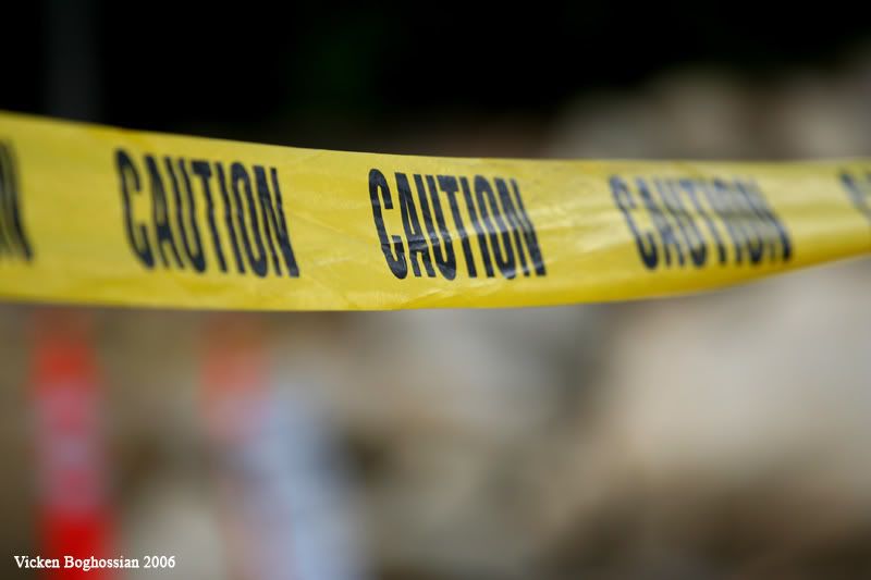 IMAGE: http://i11.photobucket.com/albums/a197/bluej511/IMG_3528.jpg