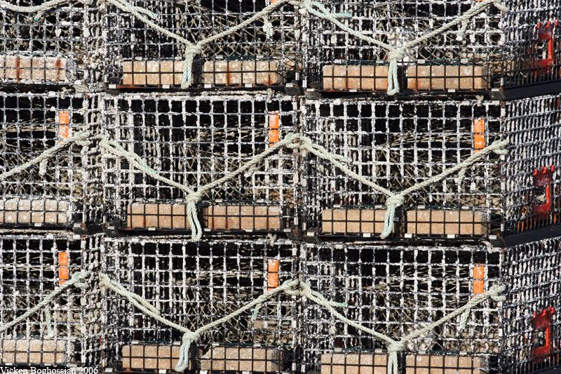 IMAGE: http://i11.photobucket.com/albums/a197/bluej511/IMG_3869.jpg