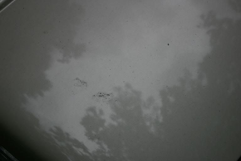 b3c224e3.jpg