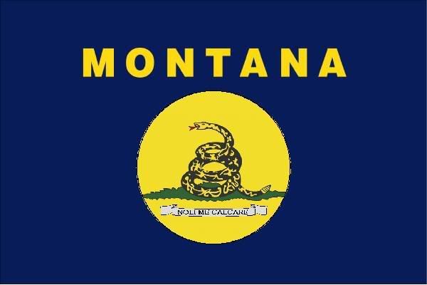 state-flag-montana.jpg