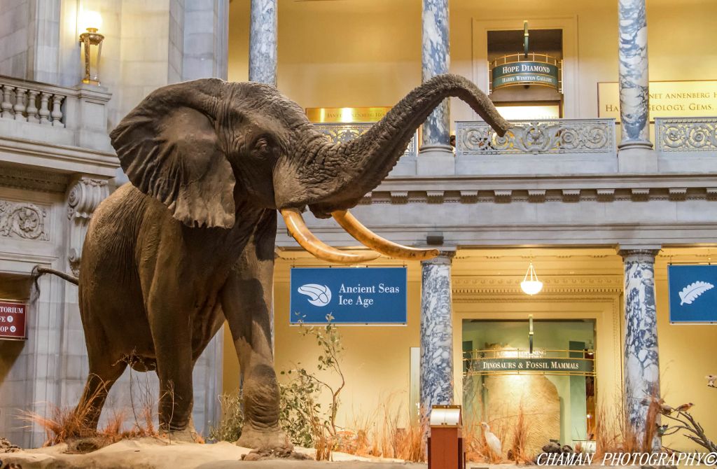 IMAGE: http://i11.photobucket.com/albums/a198/chaman3872/2013/IMG_0054-Edit_zpsceb8da76.jpg