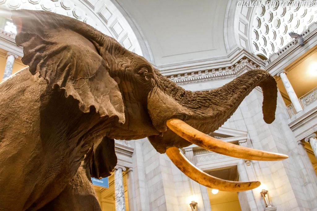 IMAGE: http://i11.photobucket.com/albums/a198/chaman3872/2013/IMG_0057-Edit_zps0bad0b23.jpg