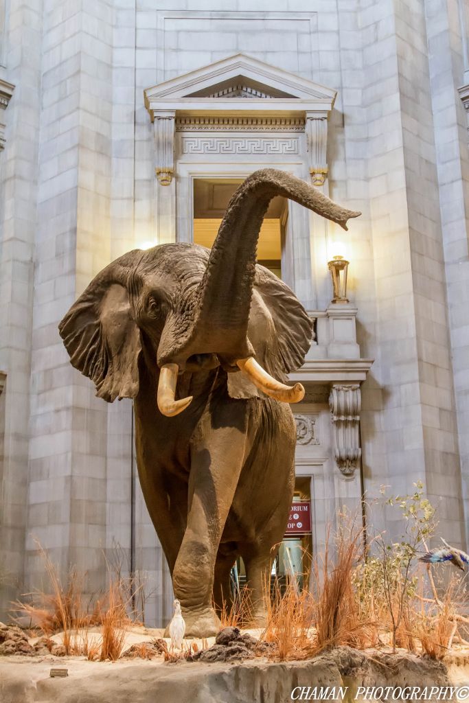 IMAGE: http://i11.photobucket.com/albums/a198/chaman3872/2013/IMG_0060-Edit_zps186e9daa.jpg