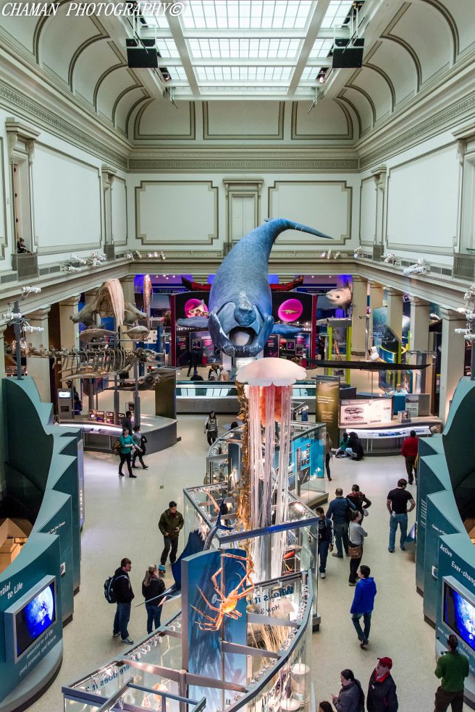 IMAGE: http://i11.photobucket.com/albums/a198/chaman3872/2013/IMG_0275-Edit_zpsb0af55be.jpg