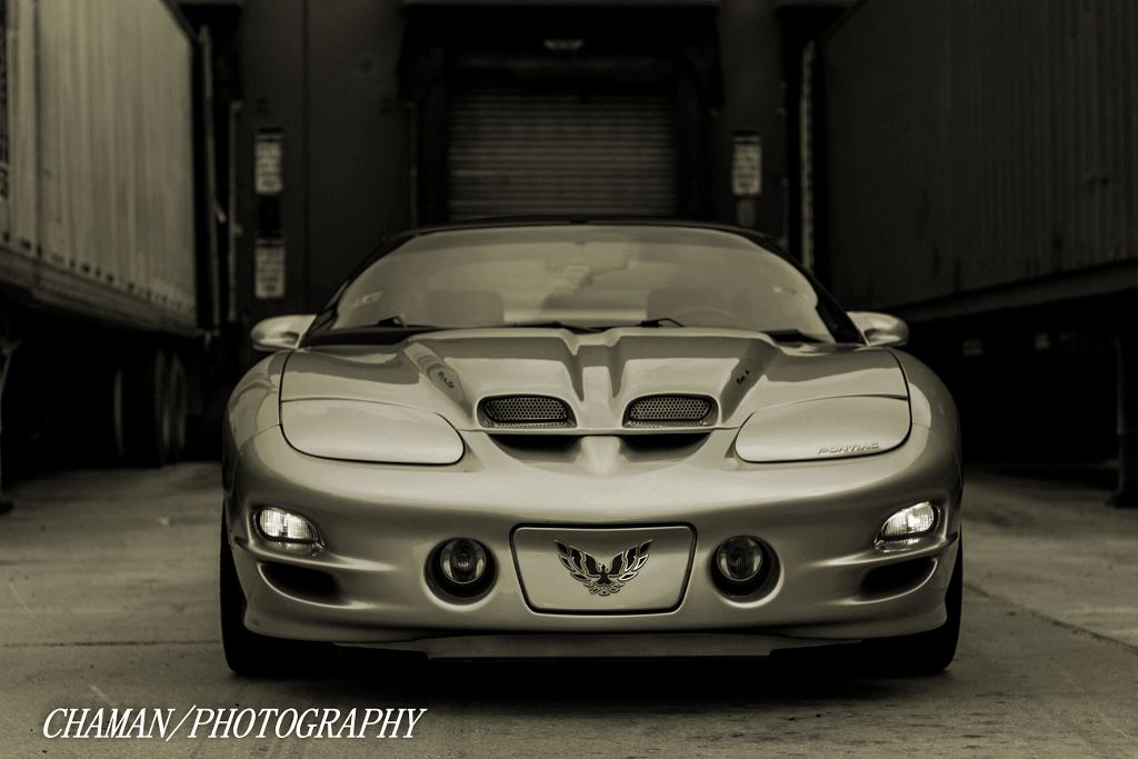 IMAGE: http://i11.photobucket.com/albums/a198/chaman3872/2013/IMG_4727b_zpsa02f05bb.jpg