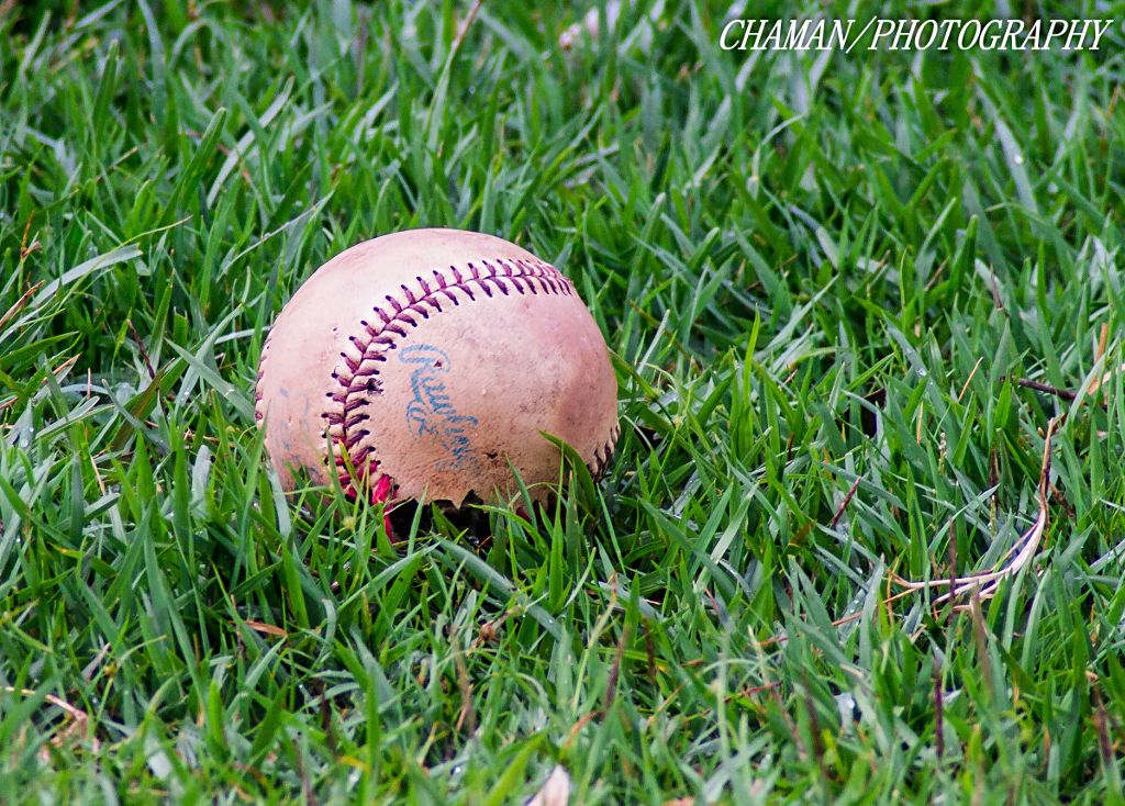 IMAGE: http://i11.photobucket.com/albums/a198/chaman3872/2013/IMG_5428_zps9f8a91de.jpg