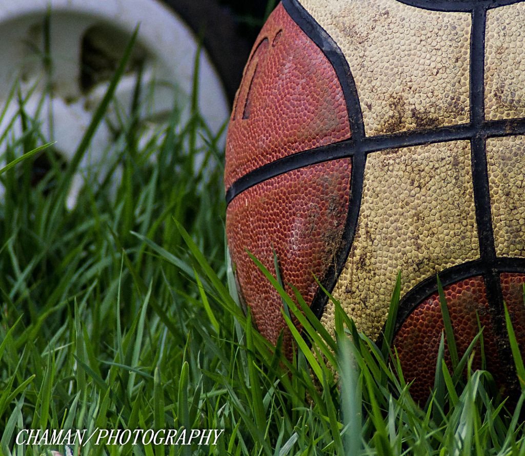 IMAGE: http://i11.photobucket.com/albums/a198/chaman3872/2013/IMG_5442_zps04f29a8b.jpg