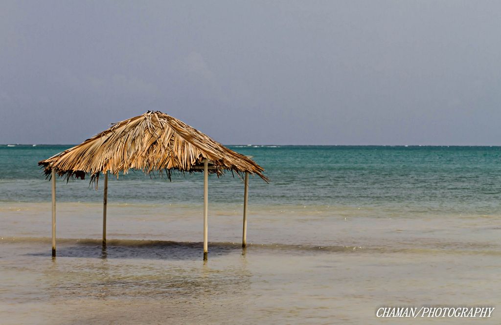 IMAGE: http://i11.photobucket.com/albums/a198/chaman3872/2013/IMG_5847-Edit_zpsc703f284.jpg