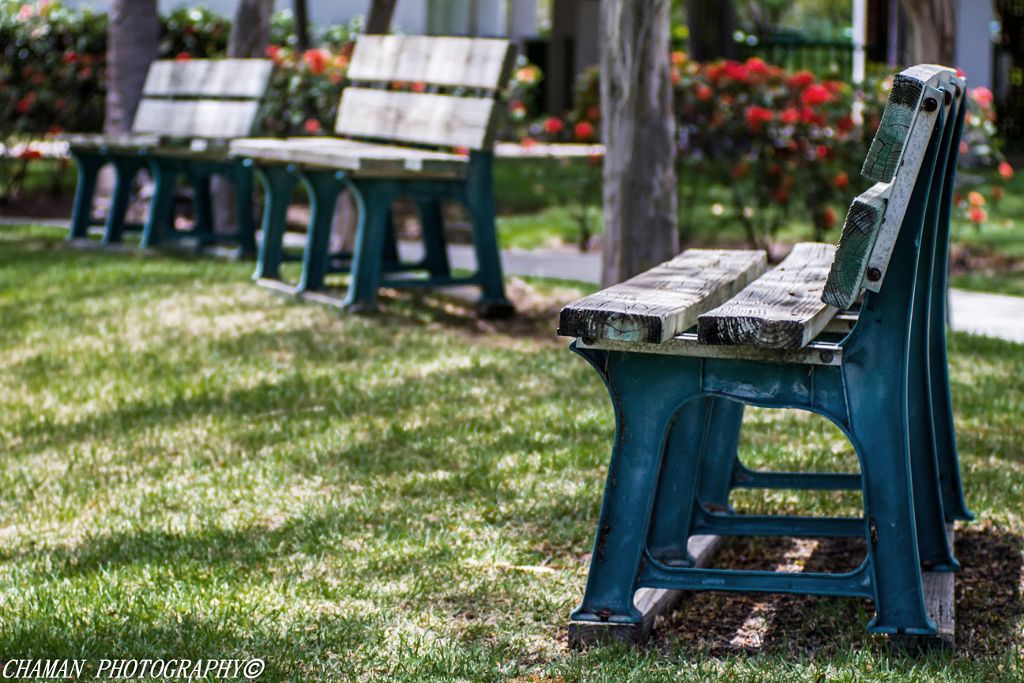 IMAGE: http://i11.photobucket.com/albums/a198/chaman3872/2013/IMG_7018-Edit-Edit_zpse61273a7.jpg