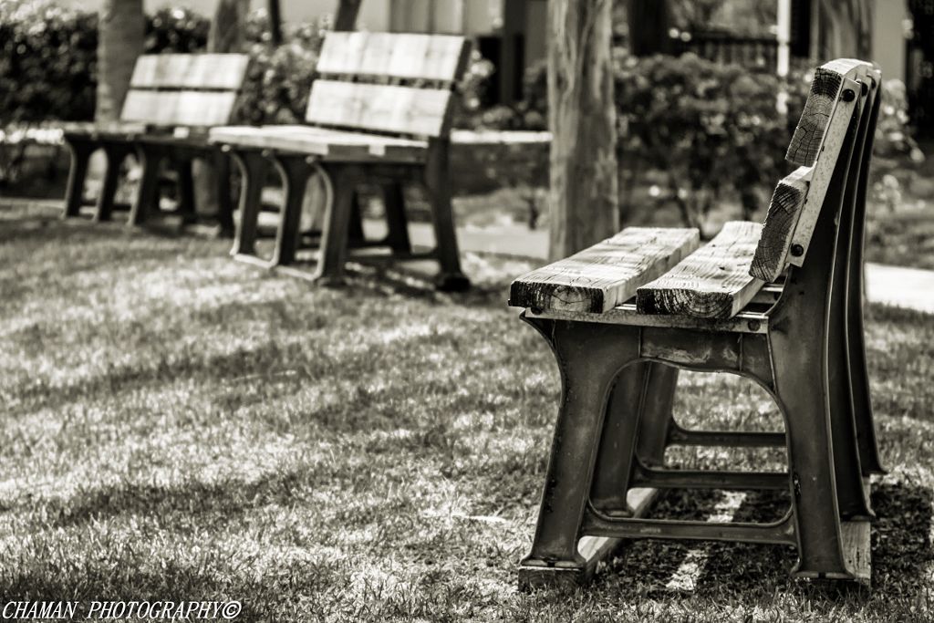 IMAGE: http://i11.photobucket.com/albums/a198/chaman3872/2013/IMG_7018BW_zpse70cd201.jpg