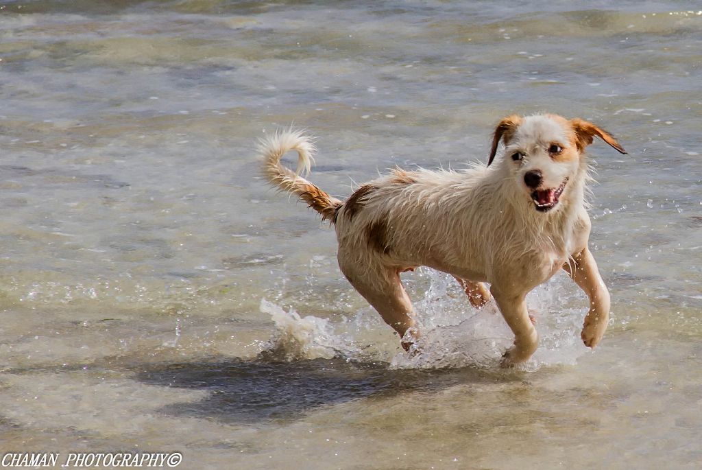 IMAGE: http://i11.photobucket.com/albums/a198/chaman3872/2013/IMG_7194-Edit-Edit_zps4960e6ec.jpg