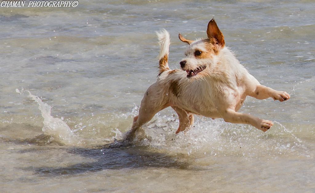 IMAGE: http://i11.photobucket.com/albums/a198/chaman3872/2013/IMG_7195-Edit-Edit_zpsedbc1981.jpg