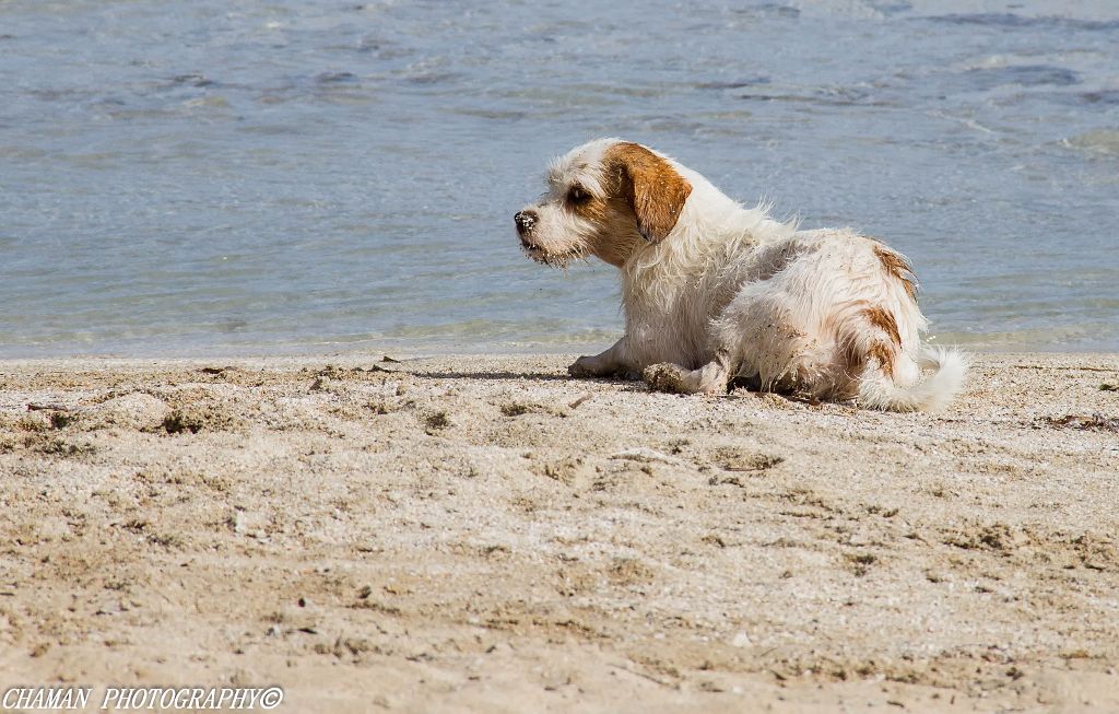 IMAGE: http://i11.photobucket.com/albums/a198/chaman3872/2013/IMG_7260-Edit-Edit_zps7159b817.jpg