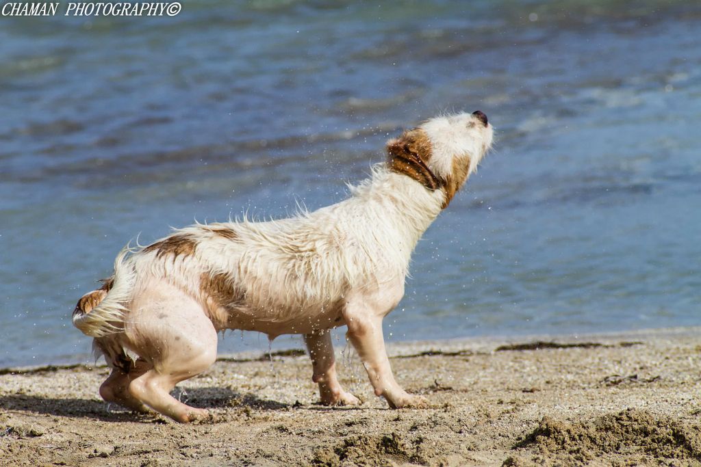 IMAGE: http://i11.photobucket.com/albums/a198/chaman3872/2013/IMG_7290-Edit-Edit_zps5108acb0.jpg