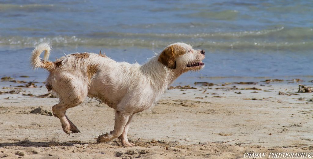 IMAGE: http://i11.photobucket.com/albums/a198/chaman3872/2013/IMG_7298-Edit-Edit_zps9998ac66.jpg