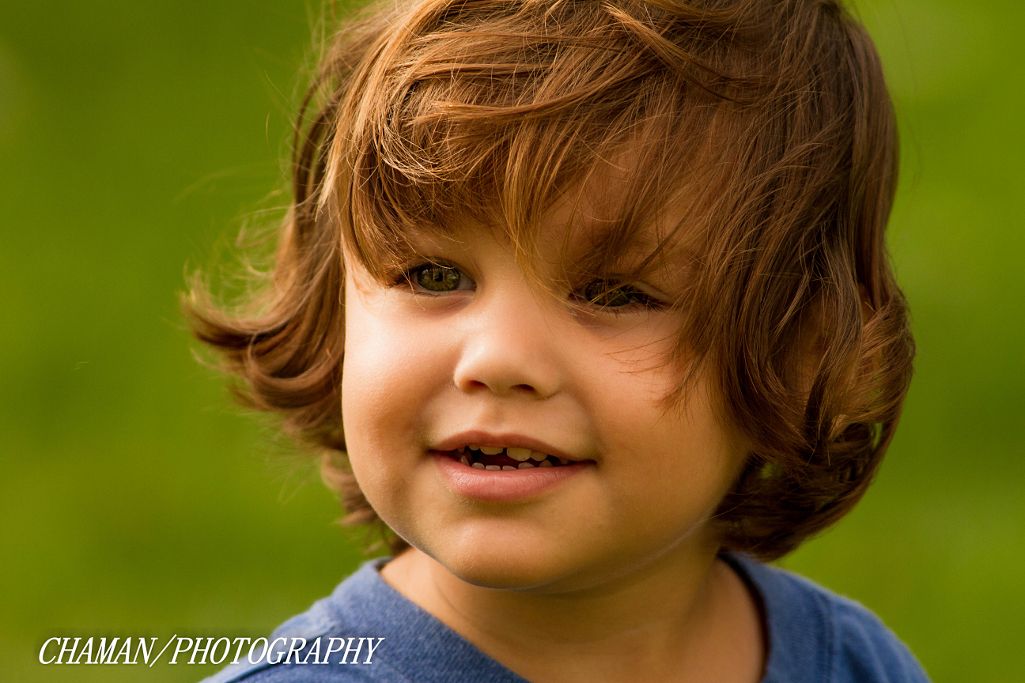 IMAGE: http://i11.photobucket.com/albums/a198/chaman3872/2013/IMG_7842_zps94adf542.jpg