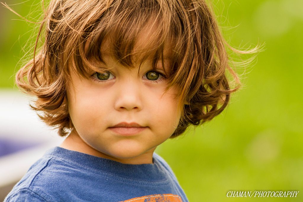 IMAGE: http://i11.photobucket.com/albums/a198/chaman3872/2013/IMG_7849_zpsd496c3c4.jpg