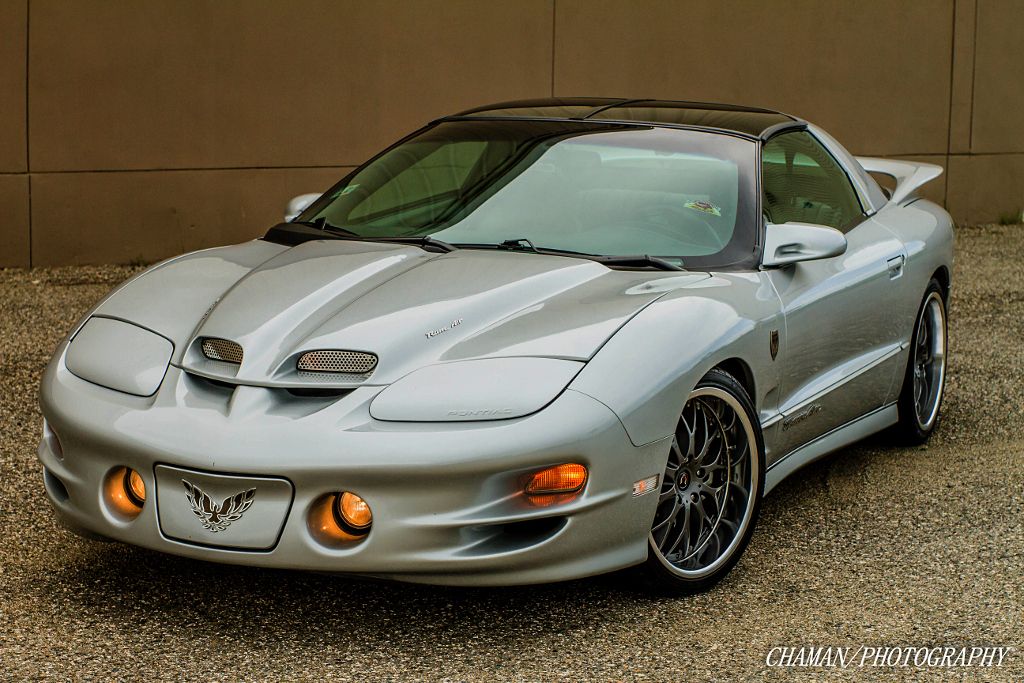 IMAGE: http://i11.photobucket.com/albums/a198/chaman3872/2013/IMG_8424_zps253637dc.jpg