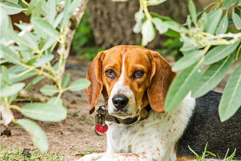 IMAGE: http://i11.photobucket.com/albums/a198/chaman3872/Fotografia/IMG_1273.jpg