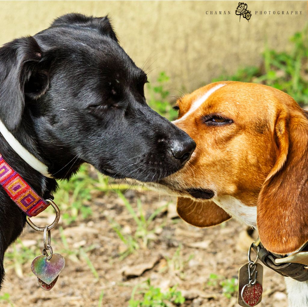 IMAGE: http://i11.photobucket.com/albums/a198/chaman3872/Fotografia/IMG_1321.jpg