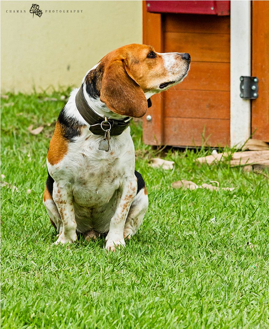 IMAGE: http://i11.photobucket.com/albums/a198/chaman3872/Fotografia/IMG_1386.jpg