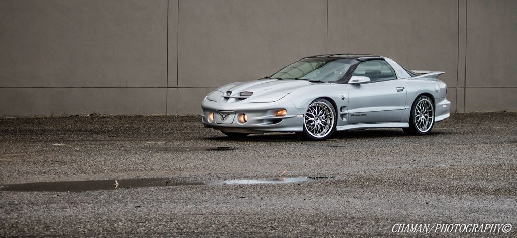 IMAGE: http://i11.photobucket.com/albums/a198/chaman3872/Fotografia/IMG_1514.jpg