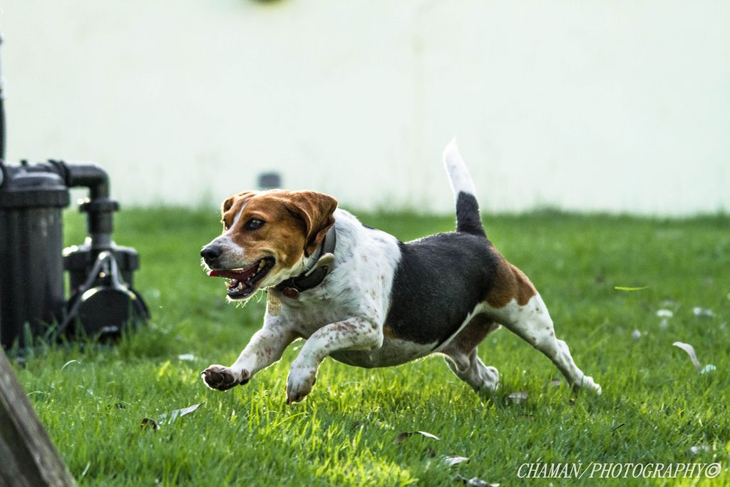 IMAGE: http://i11.photobucket.com/albums/a198/chaman3872/Fotografia/IMG_1697.jpg