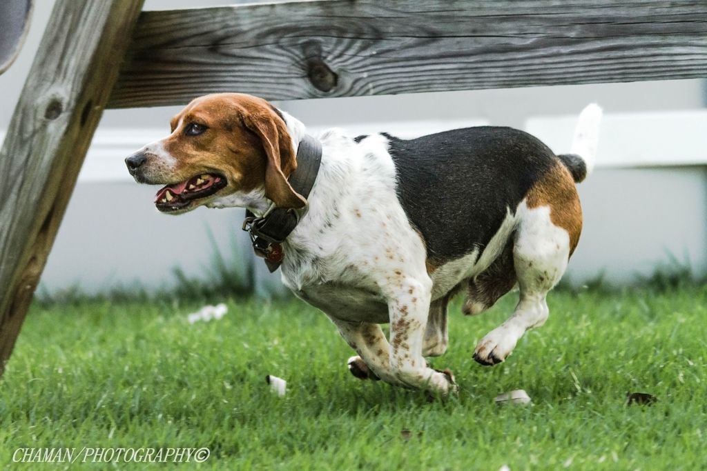 IMAGE: http://i11.photobucket.com/albums/a198/chaman3872/Fotografia/IMG_1700.jpg