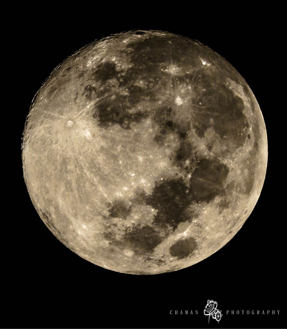 IMAGE: http://i11.photobucket.com/albums/a198/chaman3872/Fotografia/IMG_6649-2.jpg