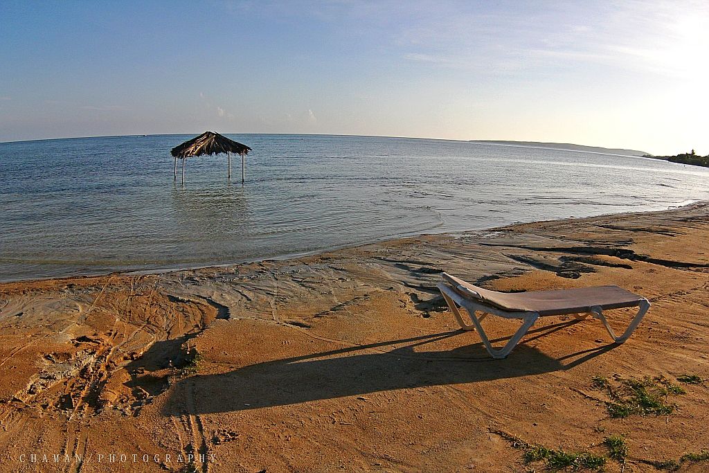 IMAGE: http://i11.photobucket.com/albums/a198/chaman3872/IMG_0067.jpg