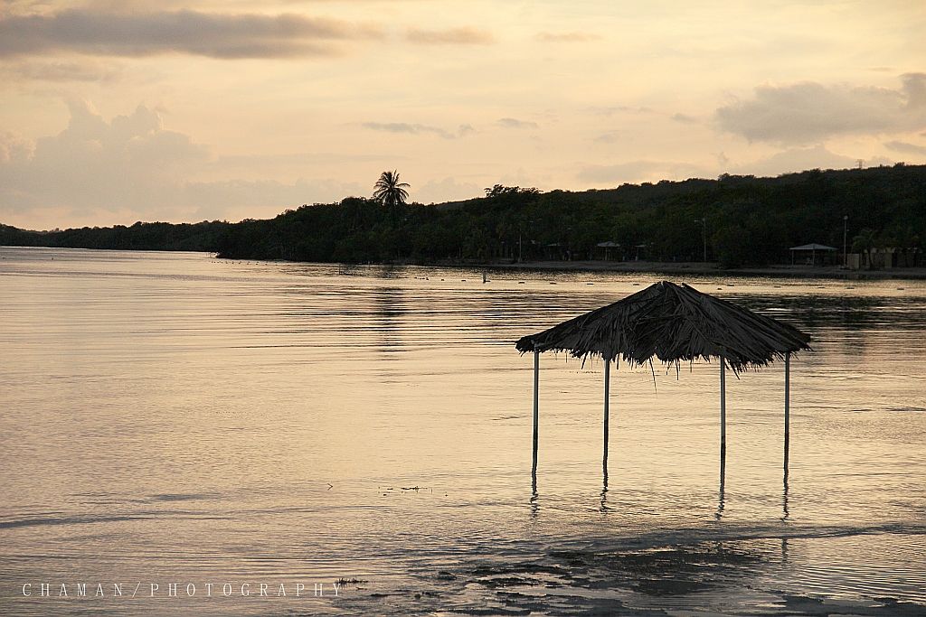 IMAGE: http://i11.photobucket.com/albums/a198/chaman3872/IMG_9707.jpg