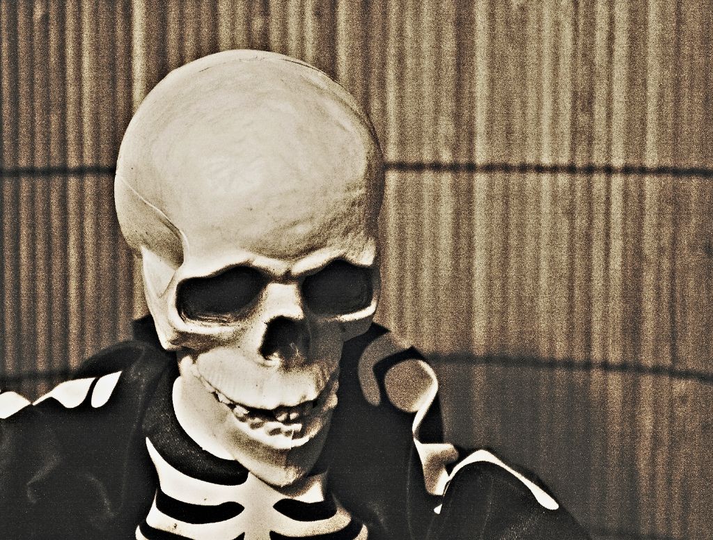 IMAGE: http://i11.photobucket.com/albums/a198/chaman3872/disturbingtoy.jpg